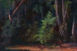 Oil painting of a small evergreen at the edge of a wood in late afternoon